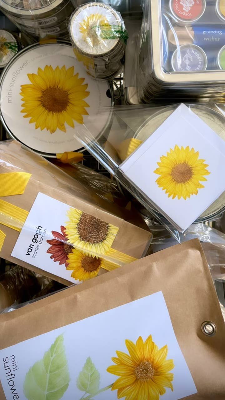 Kids Garden in a Bag - Sunflower