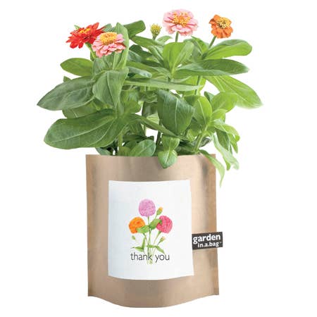 Garden in a Bag- Thank You