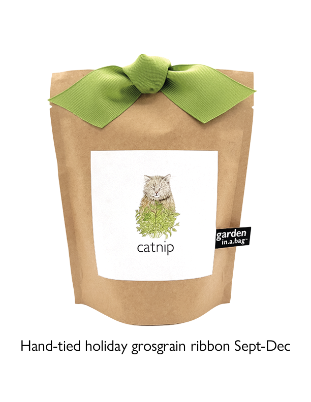 Garden in a Bag Catnip