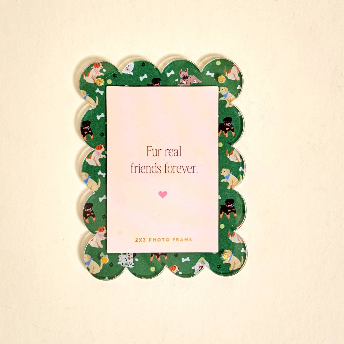 Mini Acrylic Picture Frame Magnet–Dog Days