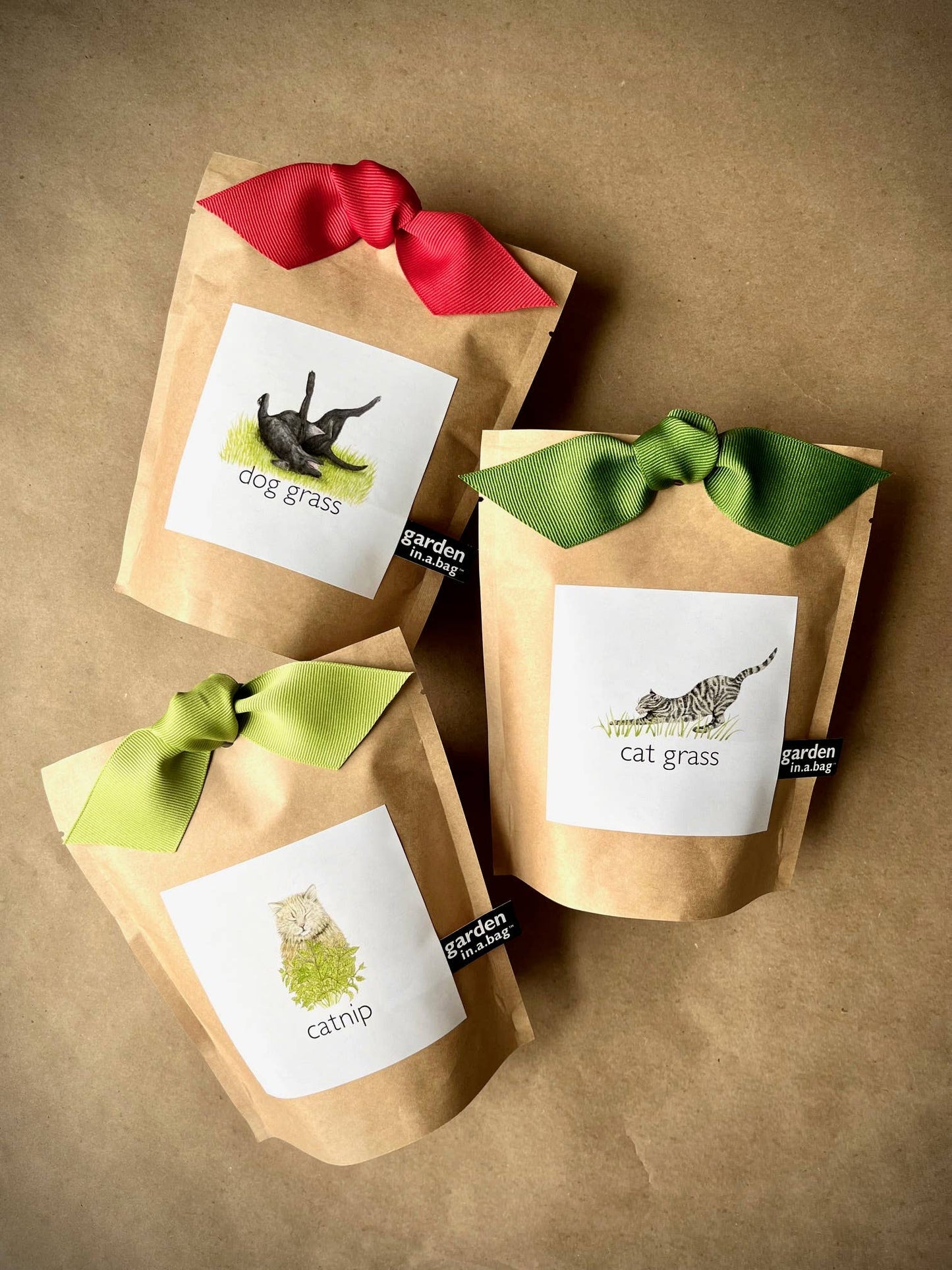 Garden in a Bag Catnip