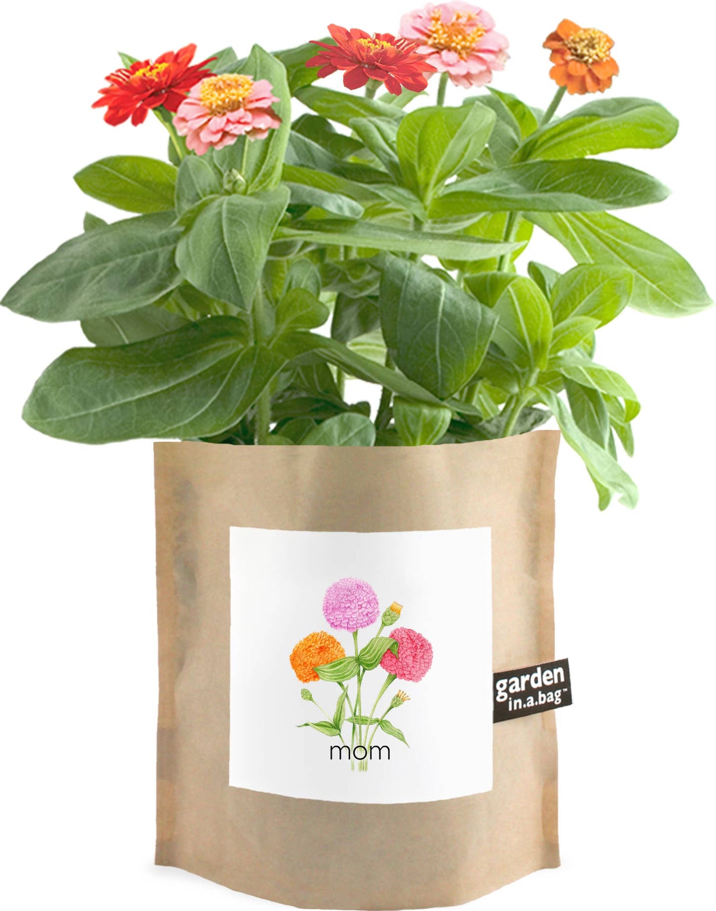 Garden in a Bag - Mom