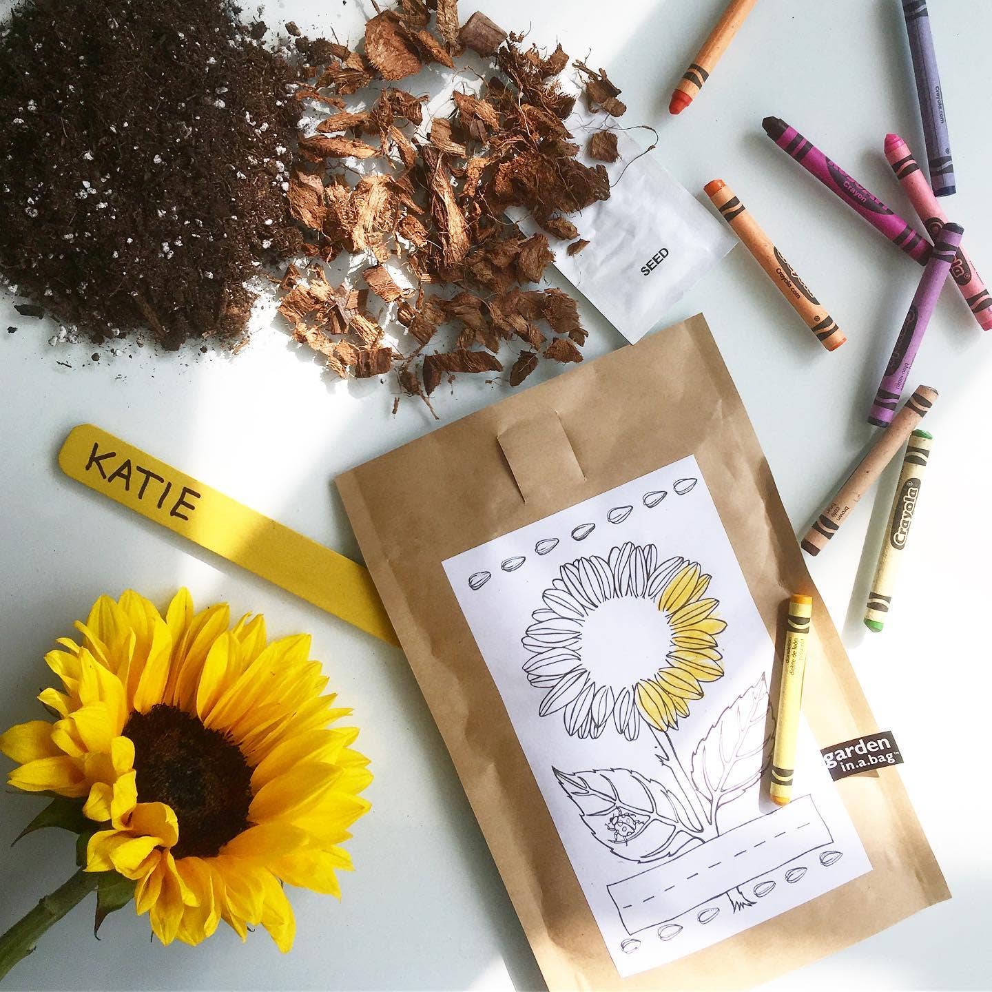 Kids Garden in a Bag - Sunflower