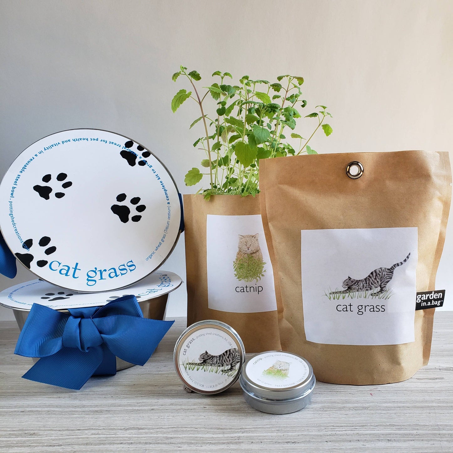 Pet Bowl - Cat Grass