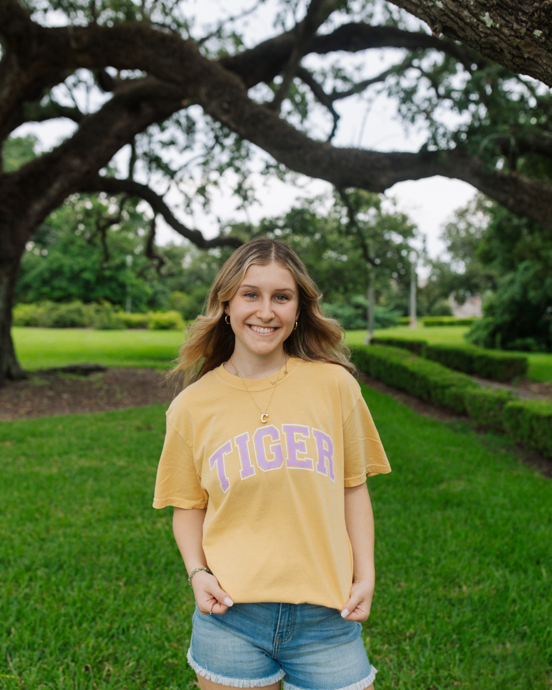 Tiger Block Screen Print T shirt