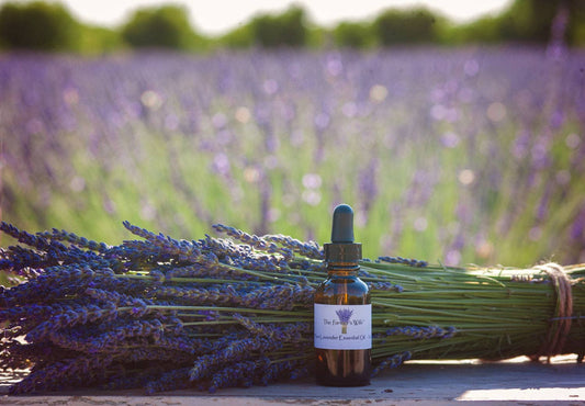 Pure Lavender Essential Oil