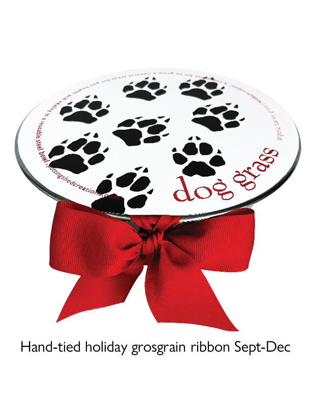 Pet Bowl - Dog Grass