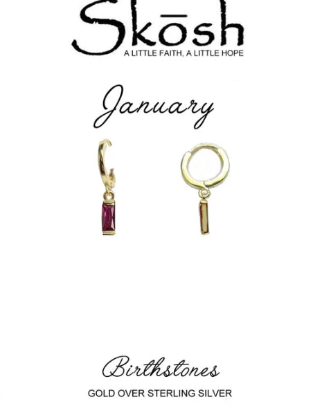 The Prism Huggies- January