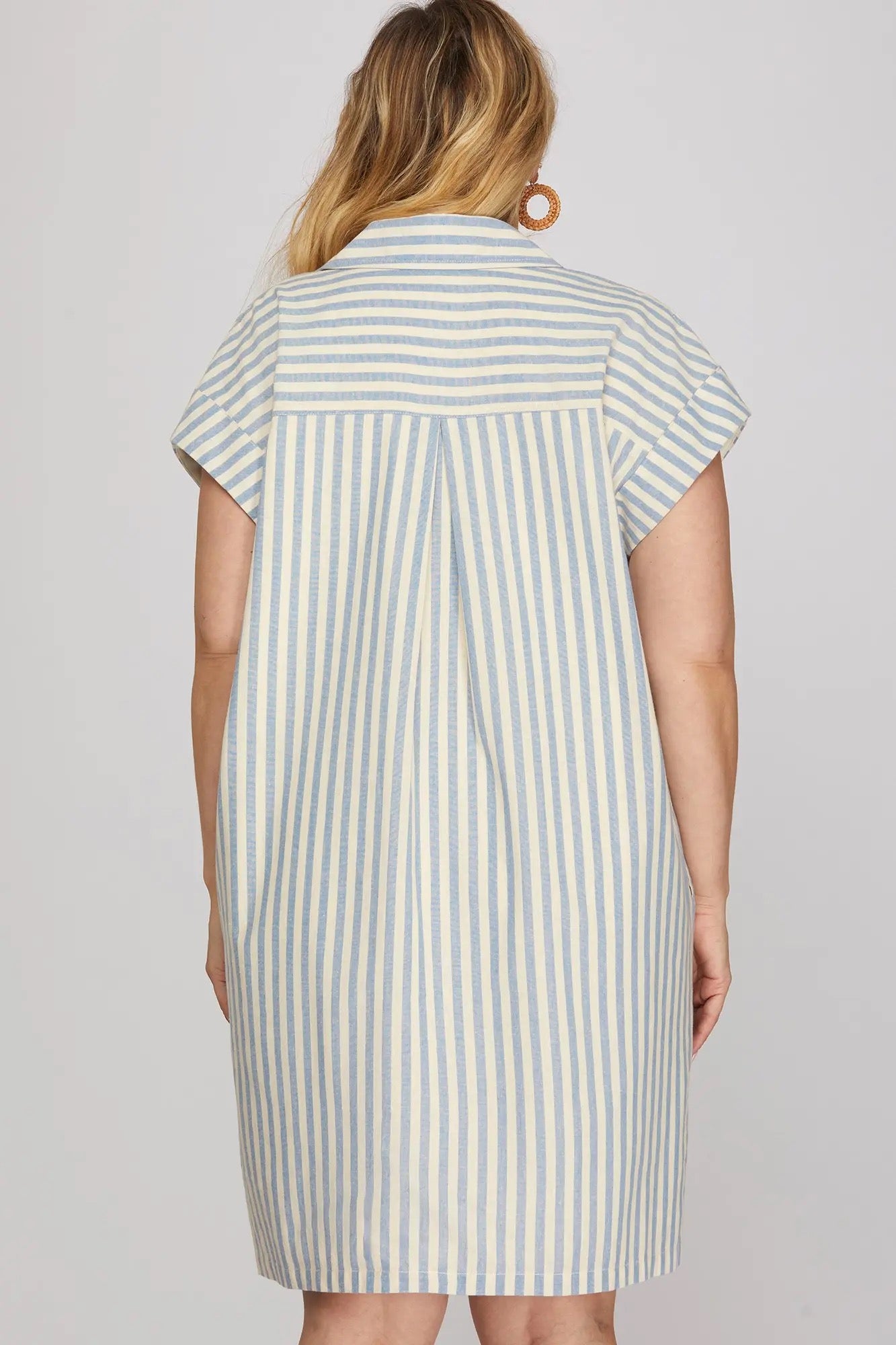 Ann Marie Blue Striped Button Dress