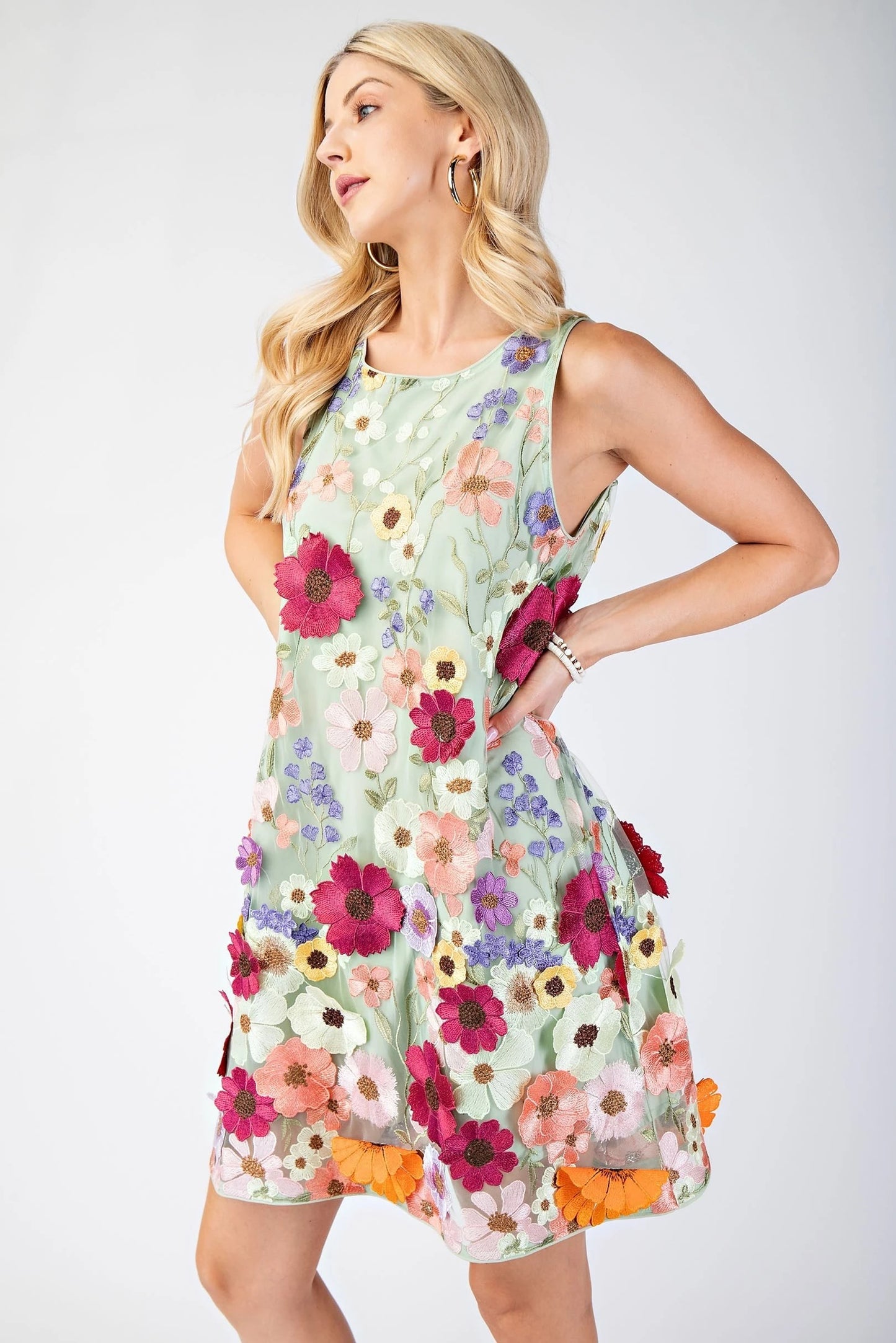 3D Floral Embroidered Dress