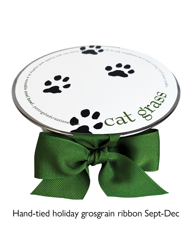 Pet Bowl - Cat Grass