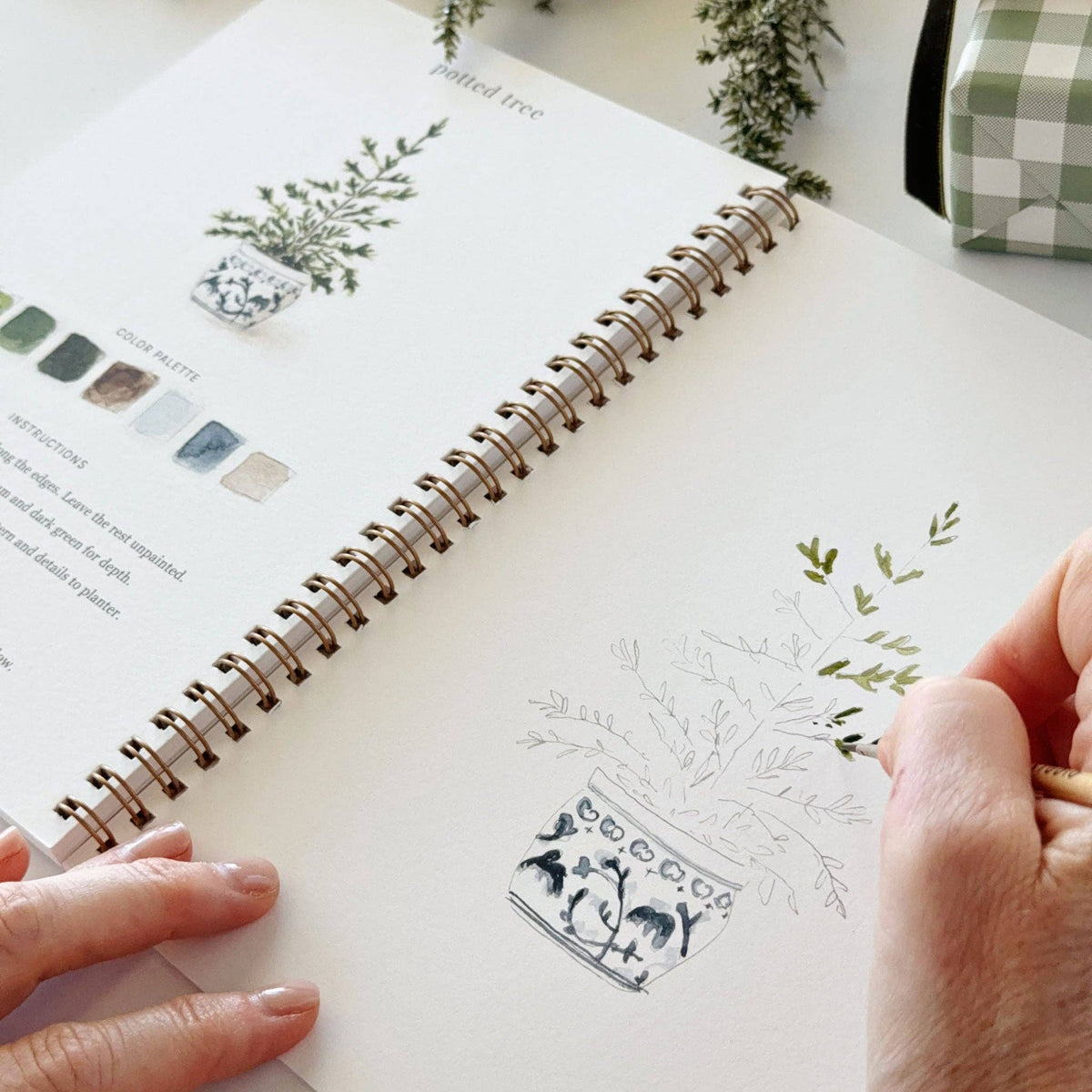 Painting a Christmas tree in the workbook