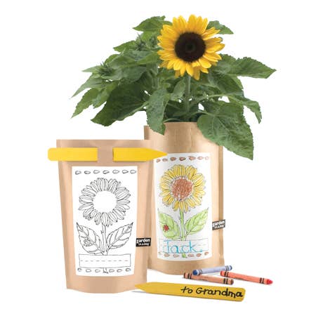 Kids Garden in a Bag - Sunflower