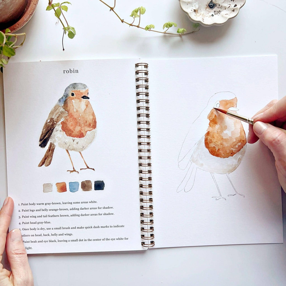 Painting a robin in the Birds workbook