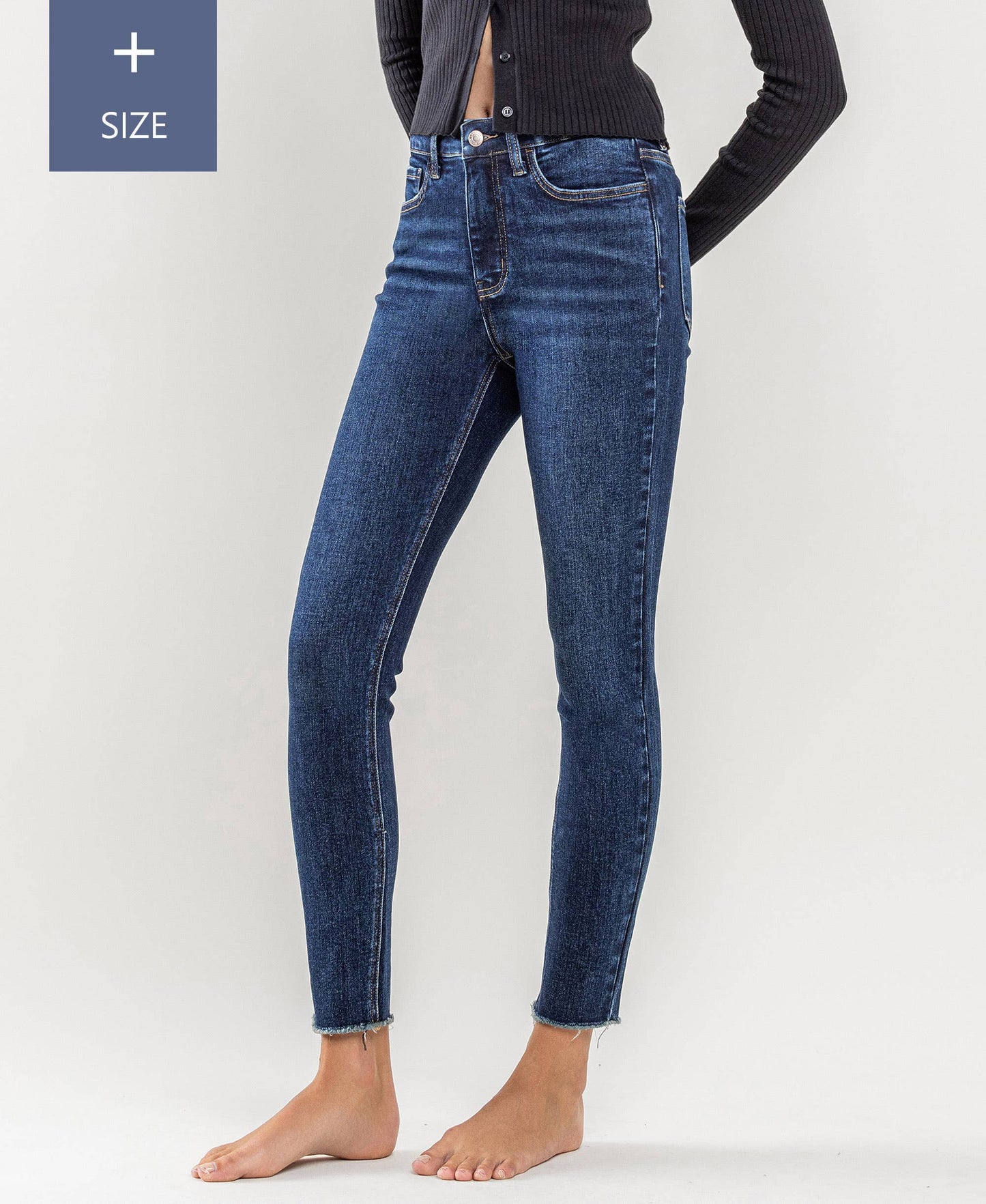 High Rise Skinny Jeans -Curvy