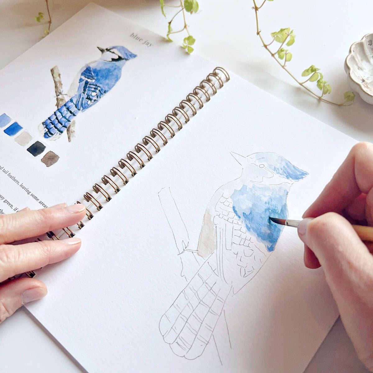 Painting a blue jay in the Birds workbook