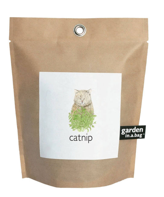 Garden in a Bag Catnip