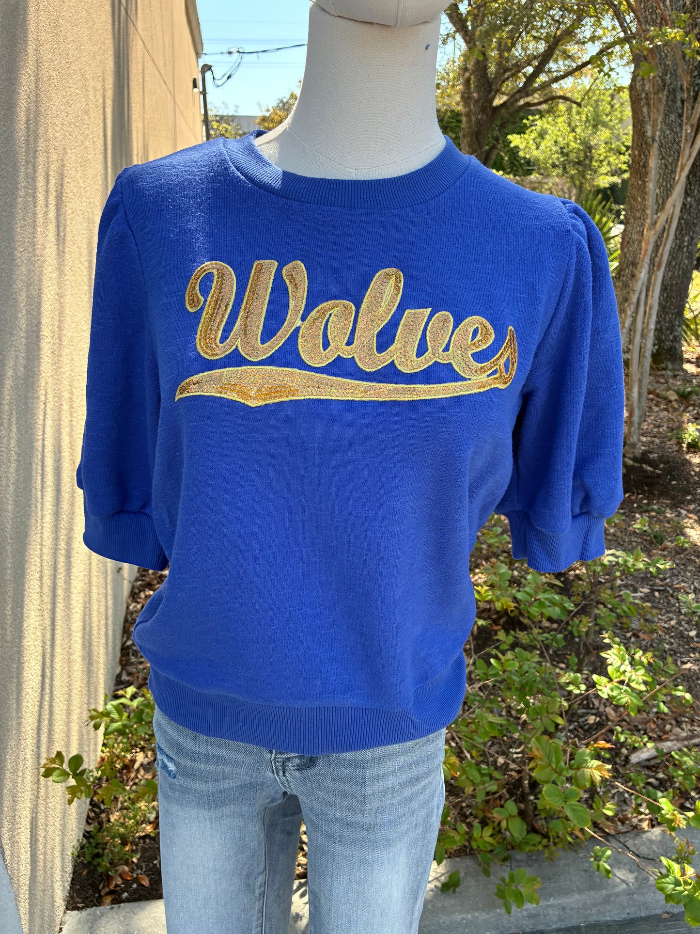 Wolves Sequin puff Sleeve Top