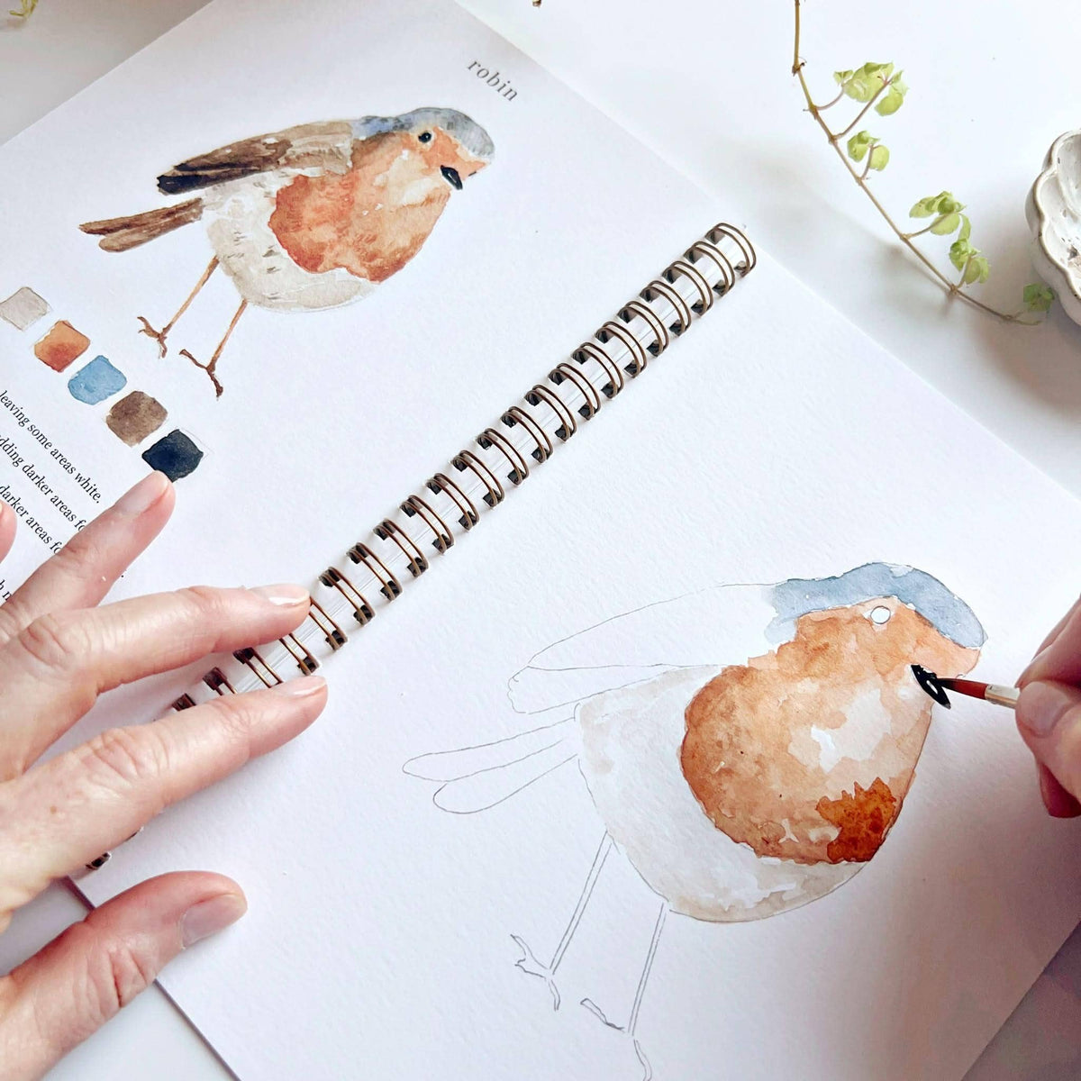 Painting a robin in watercolor