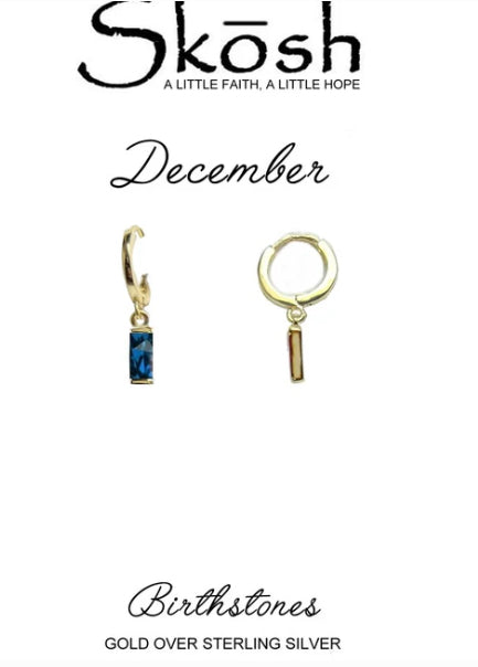 The Prism Huggies - December