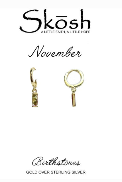 The Prism Huggies - November