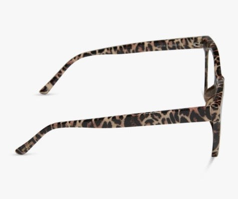 Side view Willa leopard tortoise readers