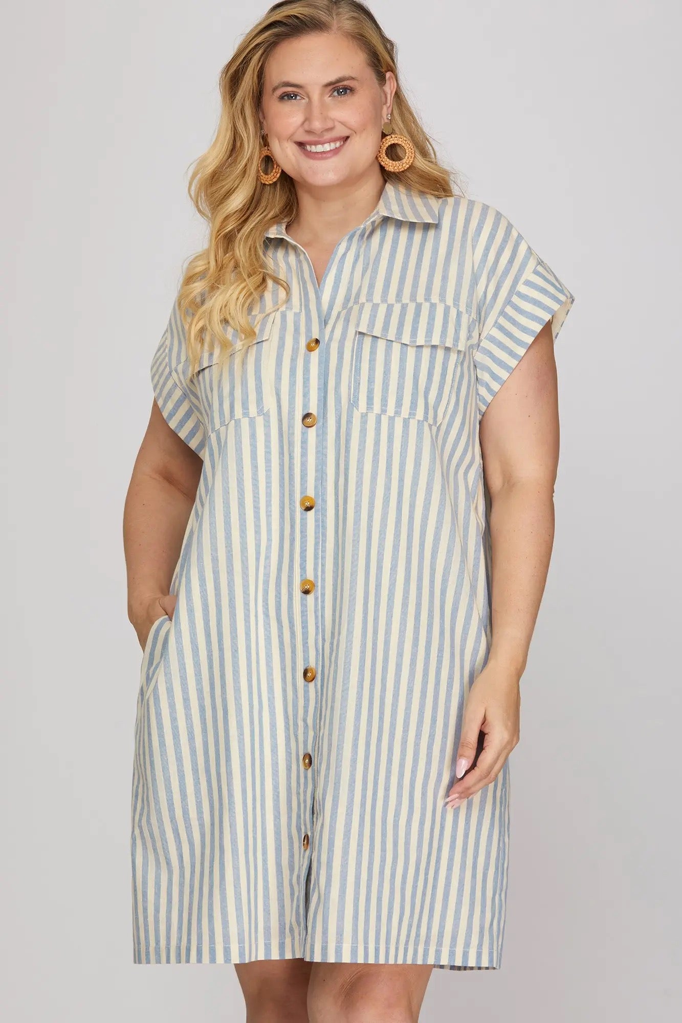 Ann Marie Blue Striped Button Dress