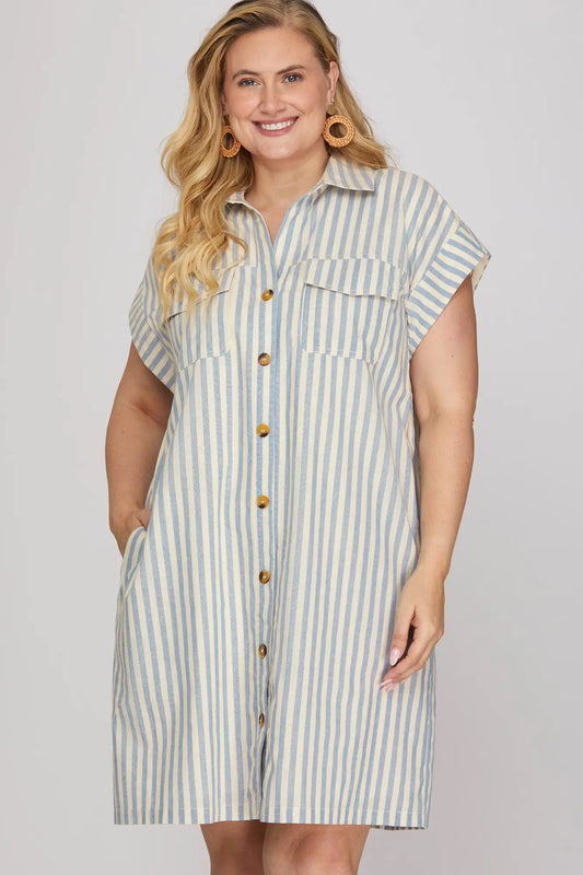 Ann Marie Blue Striped Button Dress