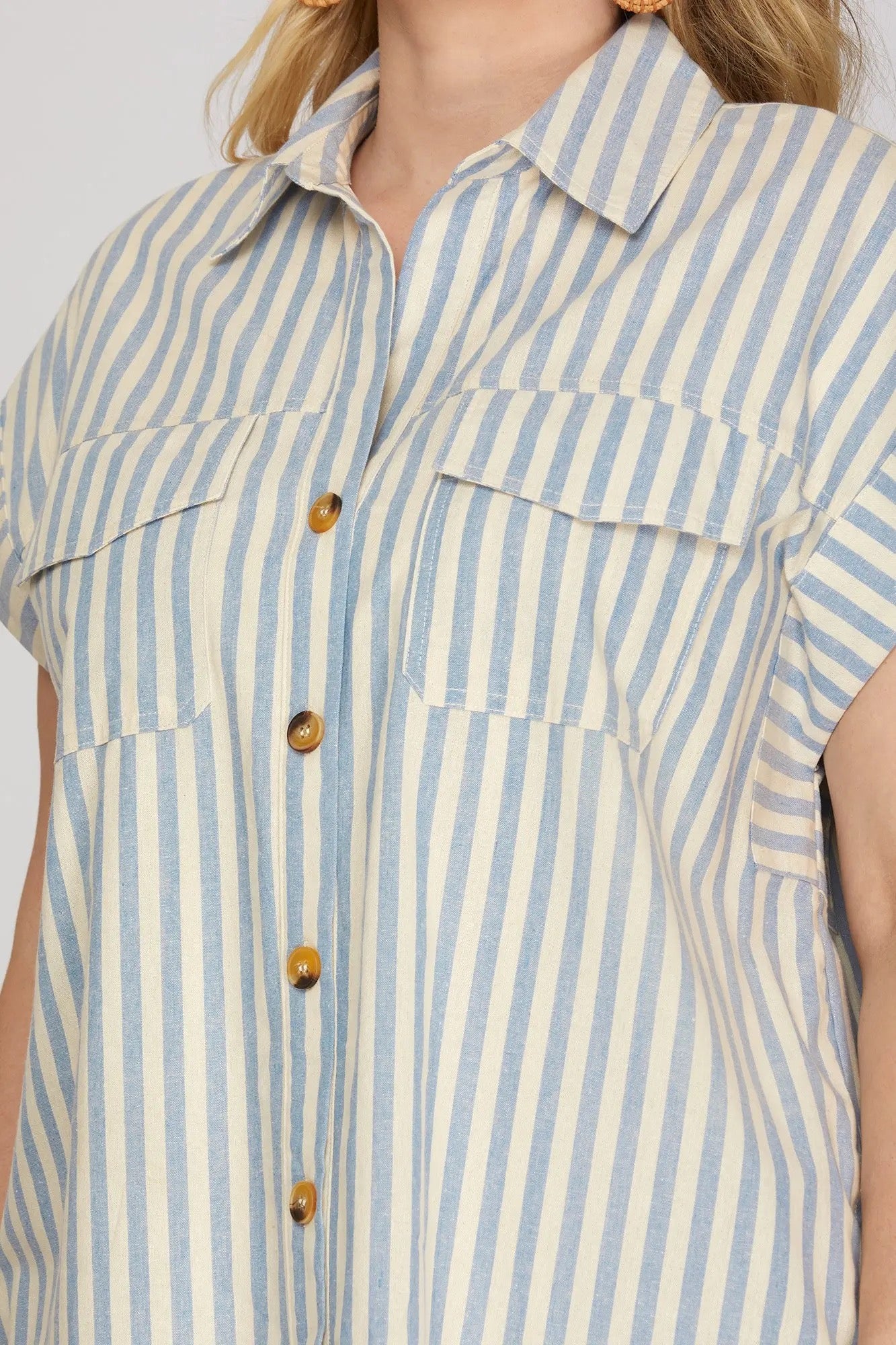 Ann Marie Blue Striped Button Dress