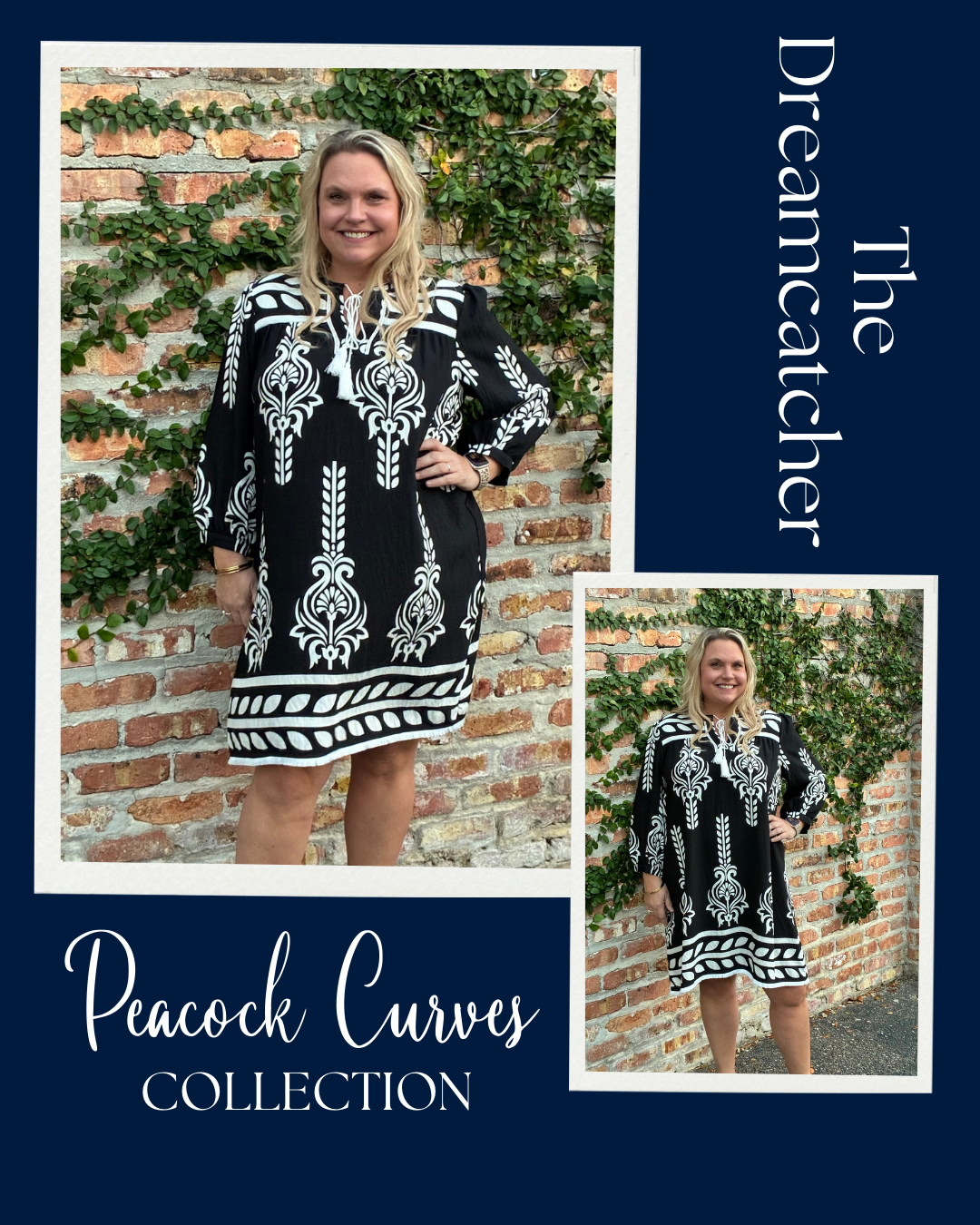 The Dreamcatcher Dress - Curvy Collection