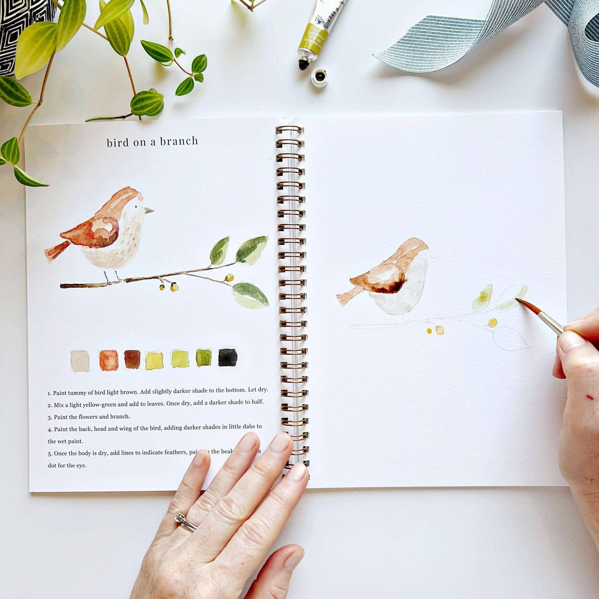 Painting a bird in the Animals workbook