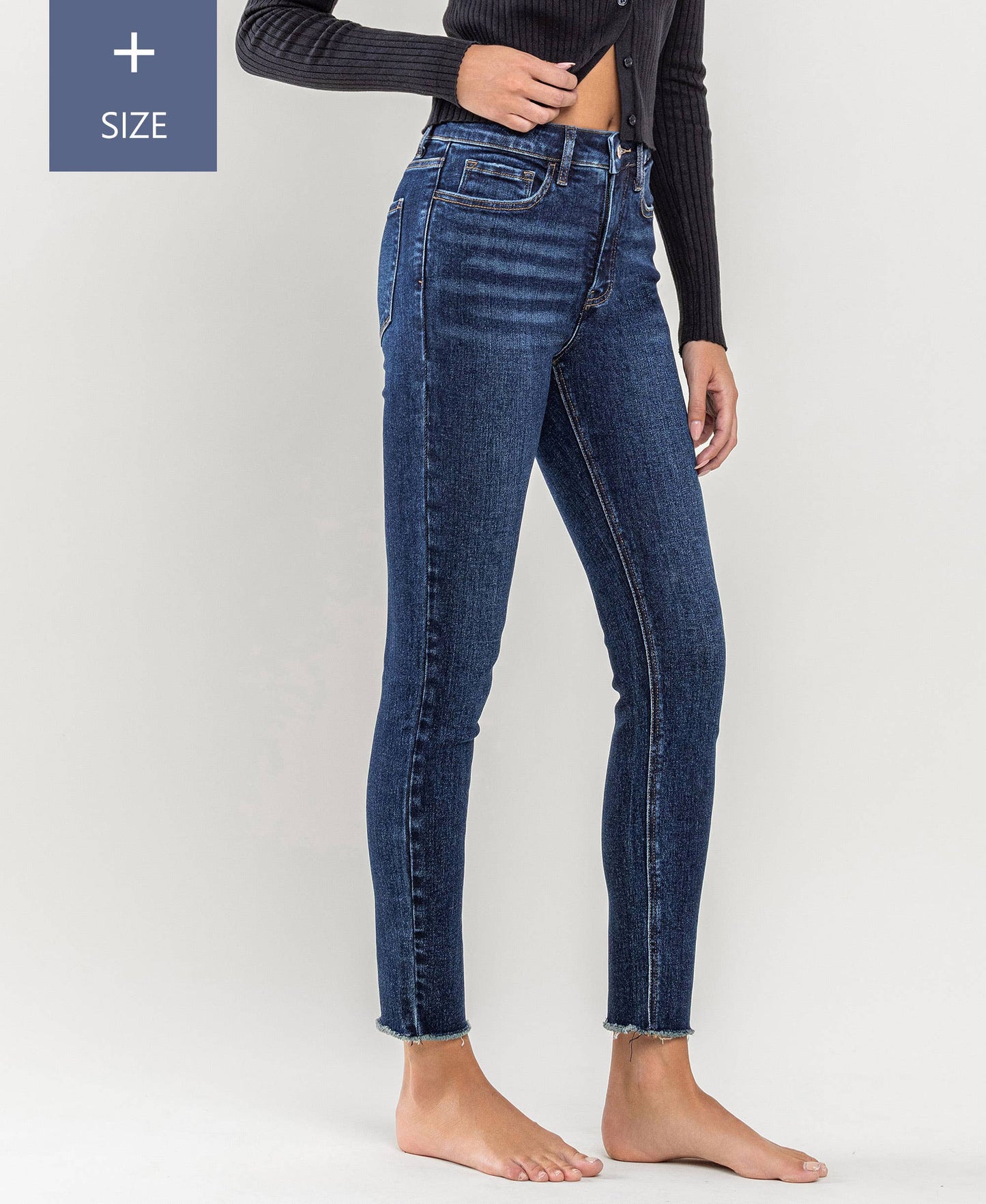 High Rise Skinny Jeans -Curvy