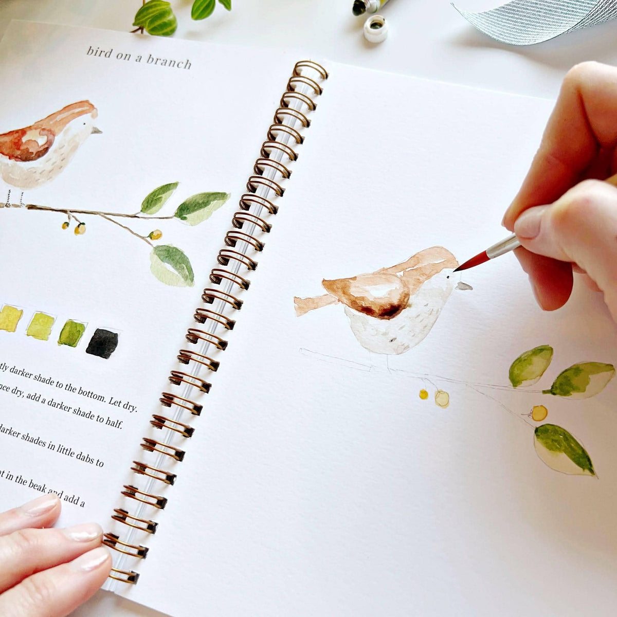 Painting a bird on a branch in watercolor