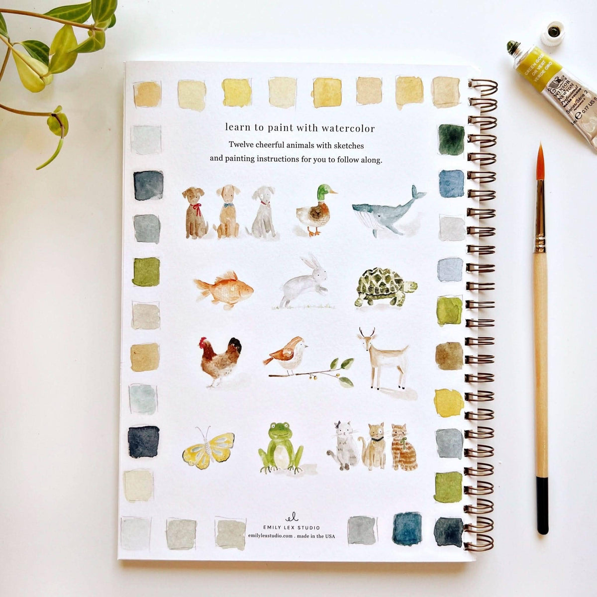 Back cover showing the twelve animal illustrations