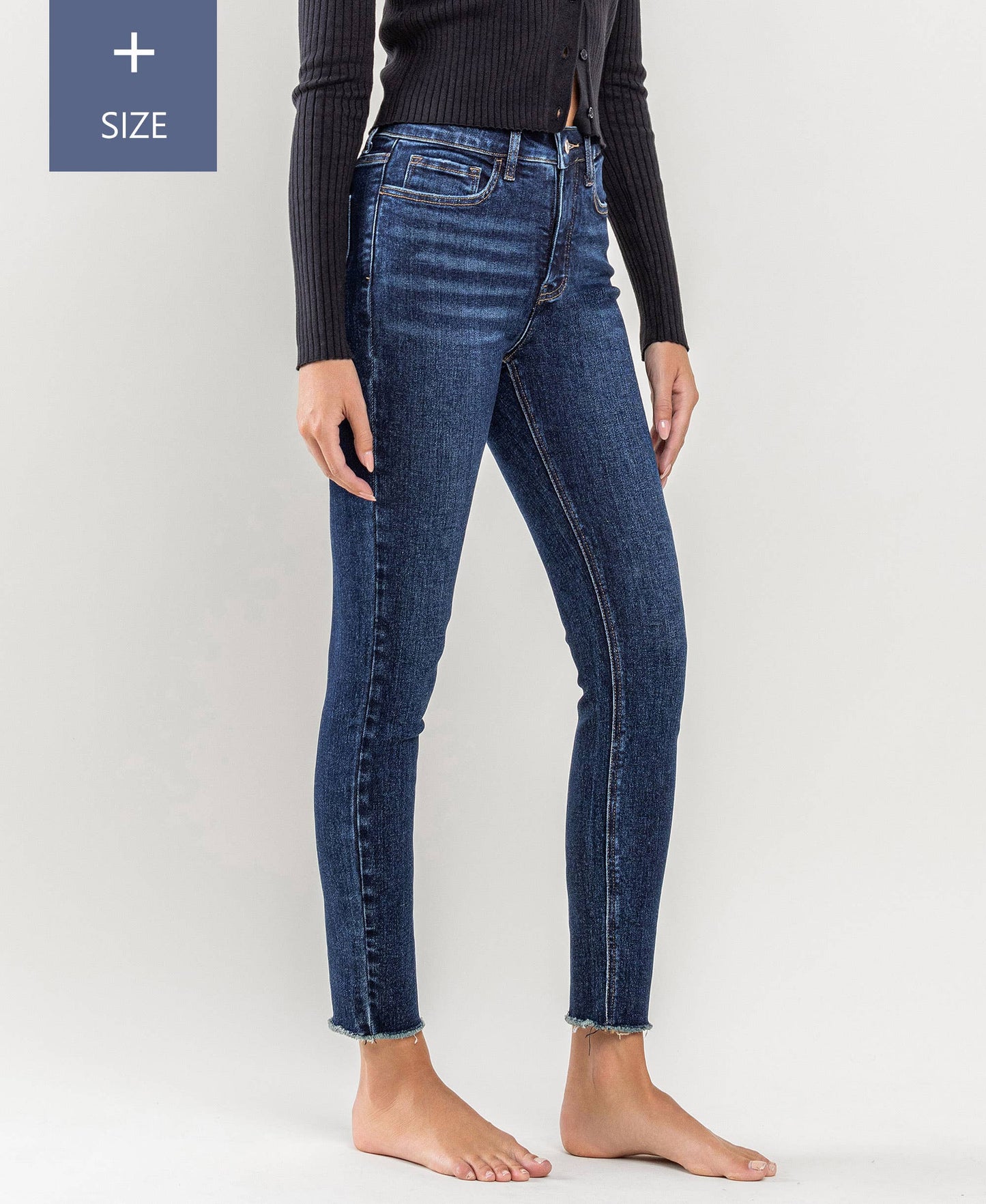 High Rise Skinny Jeans -Curvy