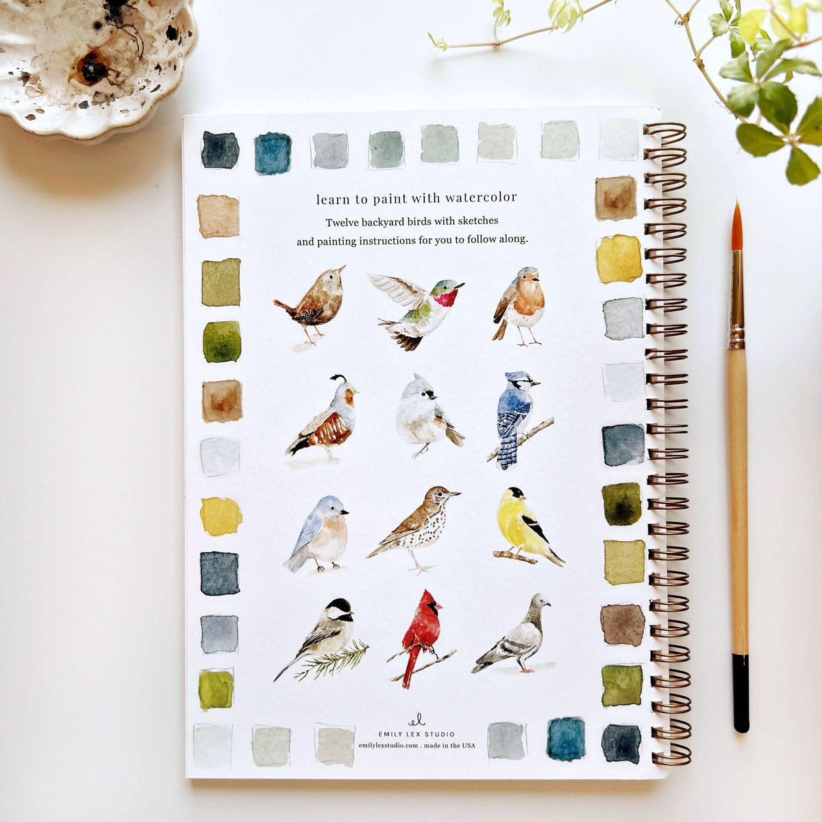 Back cover showing the twelve backyard birds