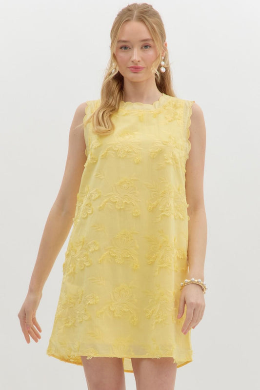 Floral Applique sleeveless Mini Dress