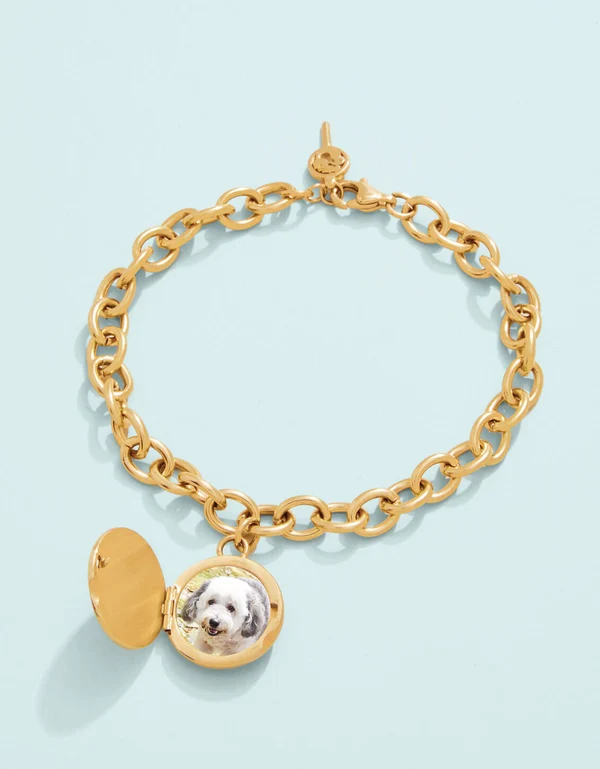 Gold bracelet on a light blue background, open locket picturing a dog.
